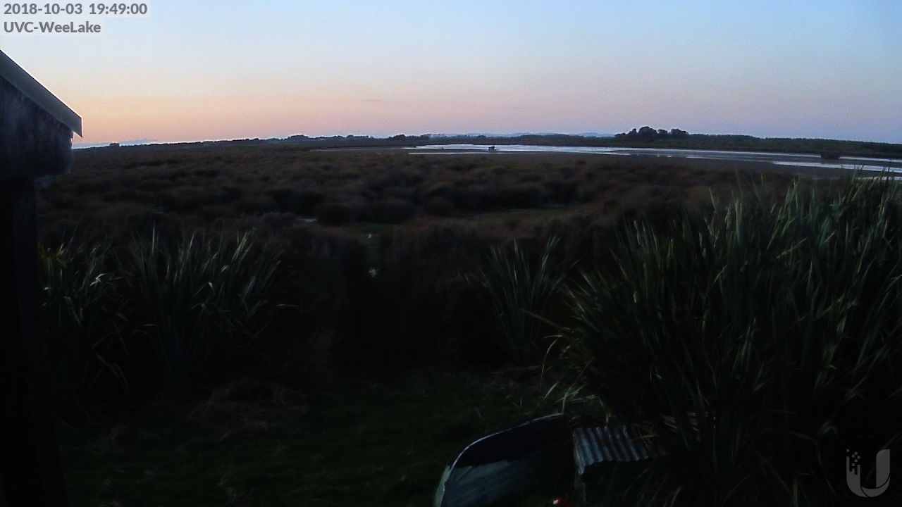 Wee Lake - North