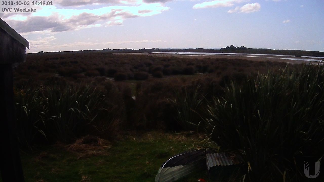 Wee Lake - North