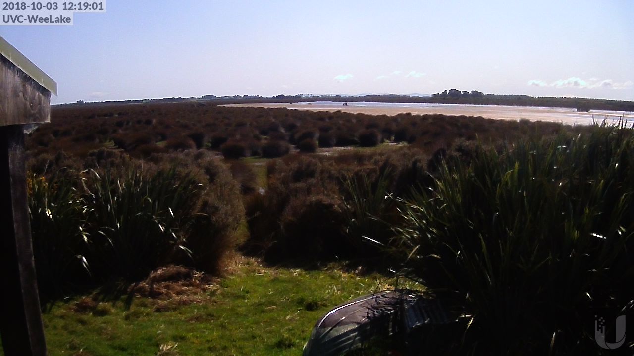 Wee Lake - North