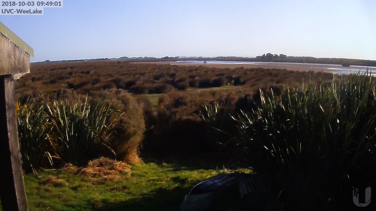 Wee Lake - North