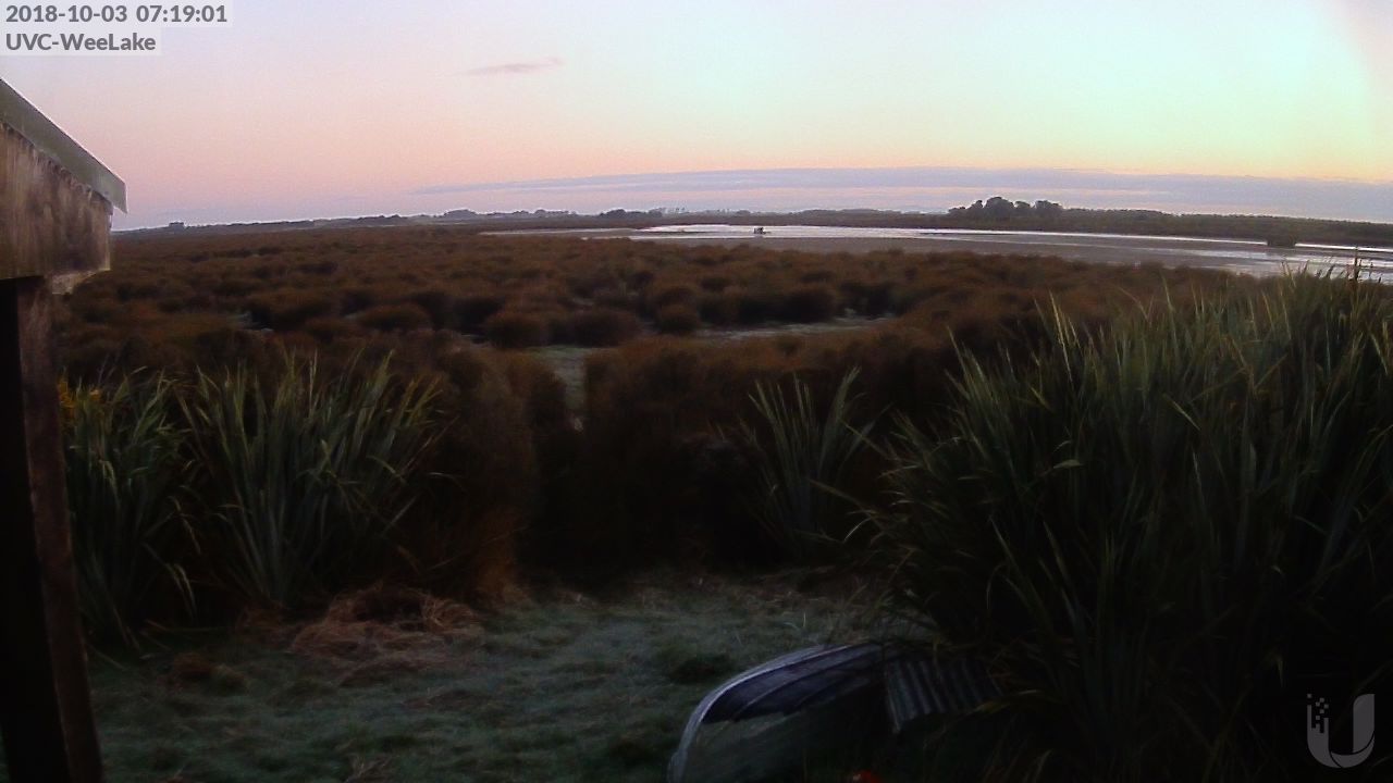 Wee Lake - North